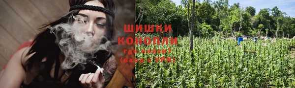 Альфа ПВП Осинники