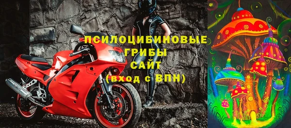 дживик Арсеньев