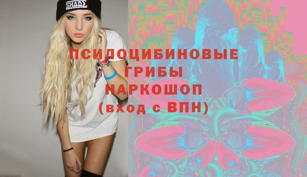 дживик Арсеньев