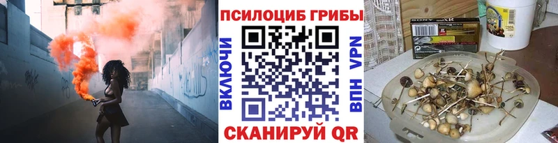Псилоцибиновые грибы прущие грибы  наркота  блэк спрут ссылки  Осинники 