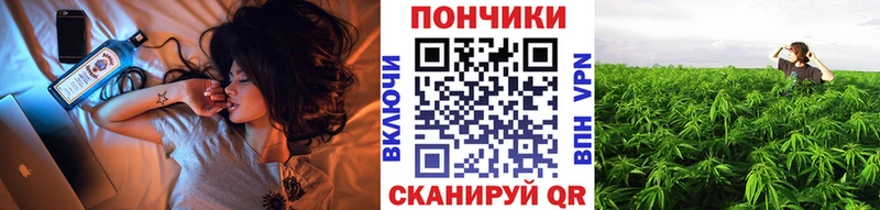 Каннабис планчик  Осинники 